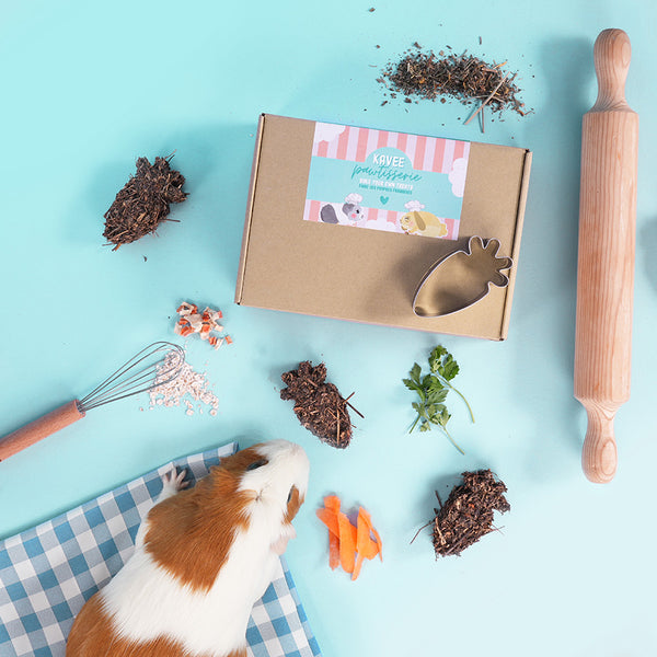 Contenu du kit de friandises maison de la marque Kavee vu du dessu avec un cochon d'Inde : la boîte, l'emporte pièce, les ingrédients et les friandises