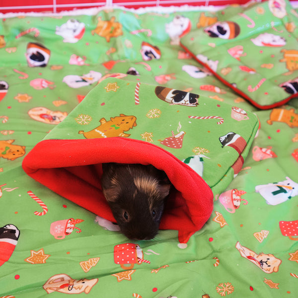 Sac de couchage pour cochon d'Inde de la marque Kavee motif Noël vert et rouge dans une cavy cage avec un cochon d'inde dedans