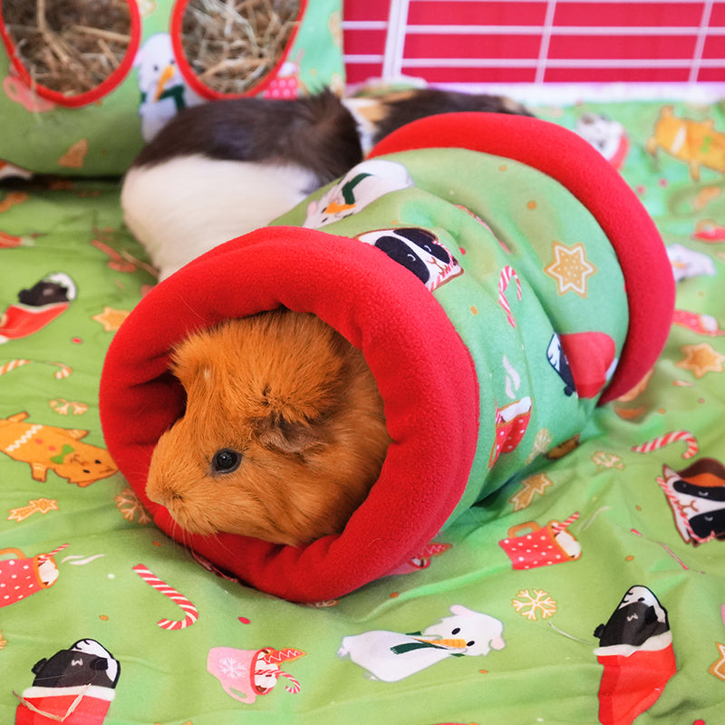 Tunnel Noël vert et rouge de la marque Kavee dans une cavy cage avec un cochon d'inde dedans