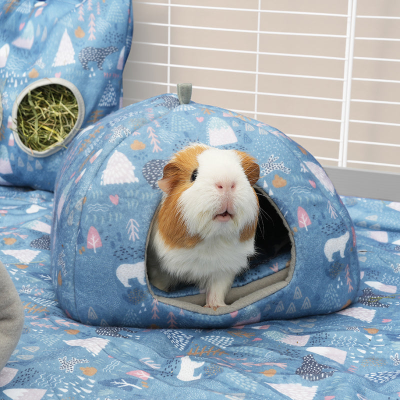 Maison de la marque Kavee motif bleu ours polaire dans une cavy cage avec un cochon d'inde dans la maison