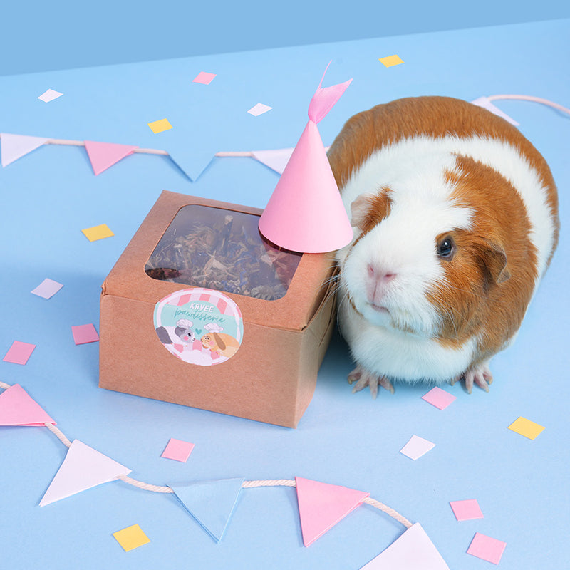 Gâteau de fête de la marque Kavee dans son emballage à coté d'un cochon d'Inde fêtant son anniversaire au milieu de confettis pastels