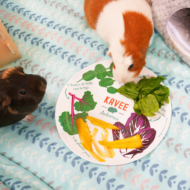 Deux cochons d'Inde sur un tapis polaire mangeant des légumes dans la délicieuse assiette version automne de la marque Kavee