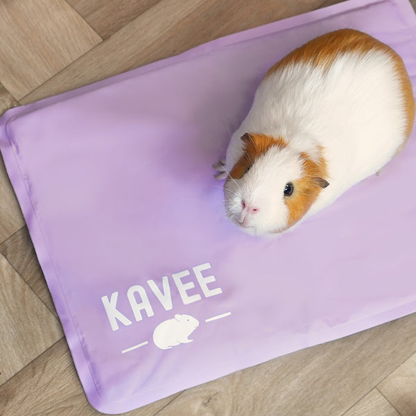 Vue du dessus du tapis rafraîchissant violet lila de la marque Kavee posé sur du parquet avec un cochon d'inde dessus.