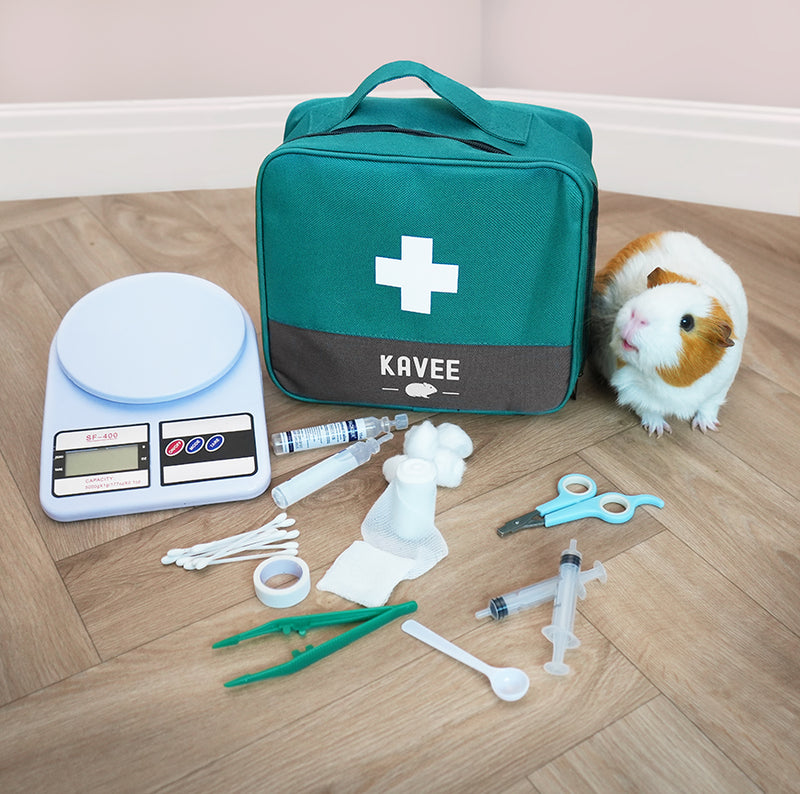 Trousse à pharmacie bleue sarcelle de la marque Kavee posée au sol avec ses accessoires, une balance, des bandages, une pince, des seringues et un cochon d'inde.