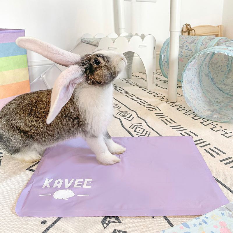 Tapis rafraîchissant violet lila de la marque Kavee posé au sol avec un lapin dessus et des accessoires Kavee en arrière plan.