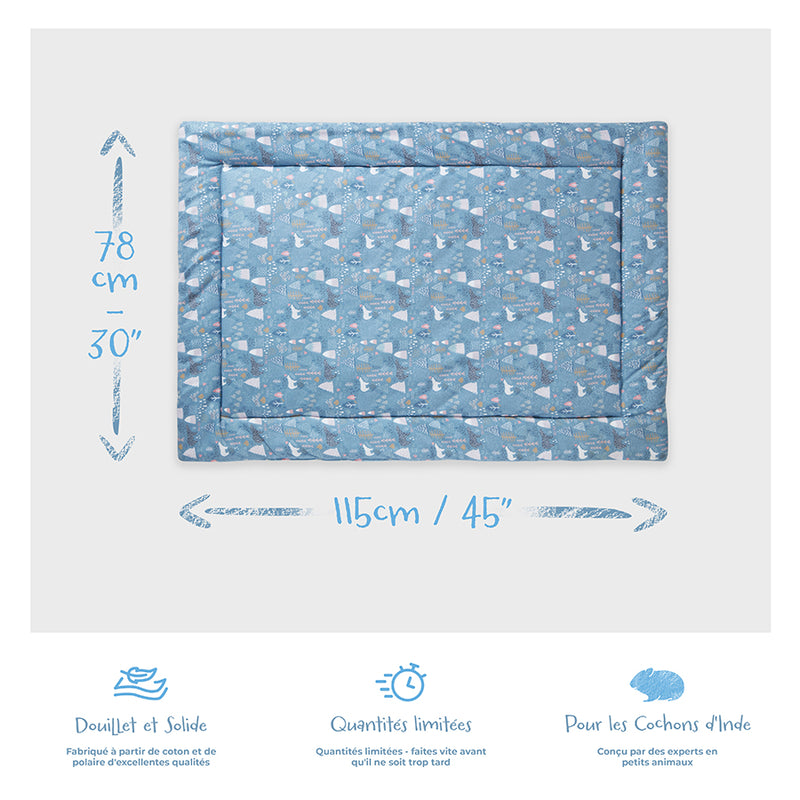tapis polaire 3x2 cochon d'inde motif tissu bleu ours polaire de Kavee avec ses dimensions et avantages