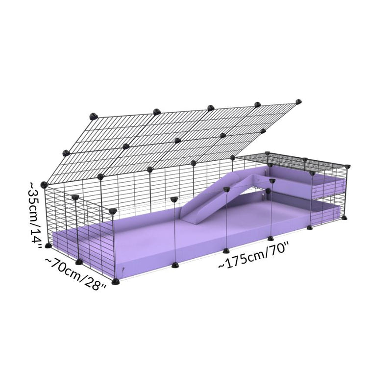 Dimension d'une cavy cage 5x2  avec panneaux transparents en plexiglass pour cochons d'inde avec une rampe un loft un couvercle un coroplast violet mauve pastel lilas et grilles ok pour bebes