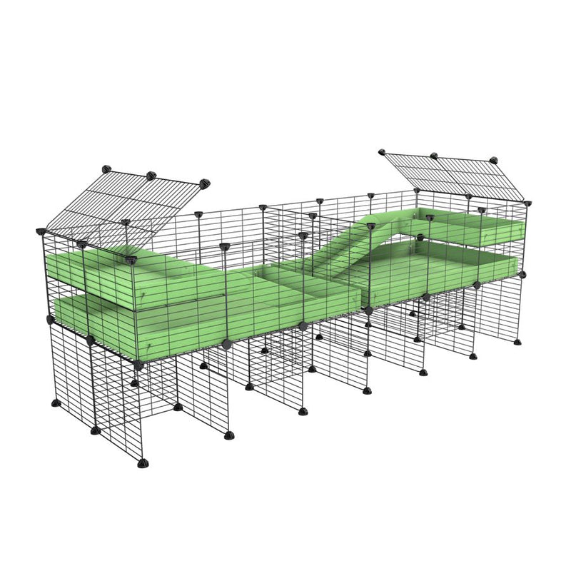 une cavy cage 6x2 stand loft avec separation pour cochons d'inde qui se battent ou en quarantaine avec coroplast vert kavee