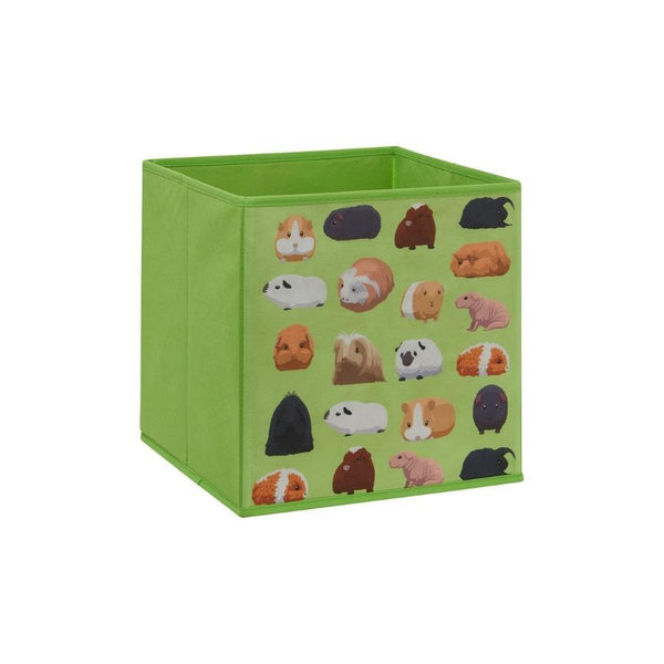 boite de stockage cube pour cage cavy kavee motif cochon d'inde cobaye vert recto 