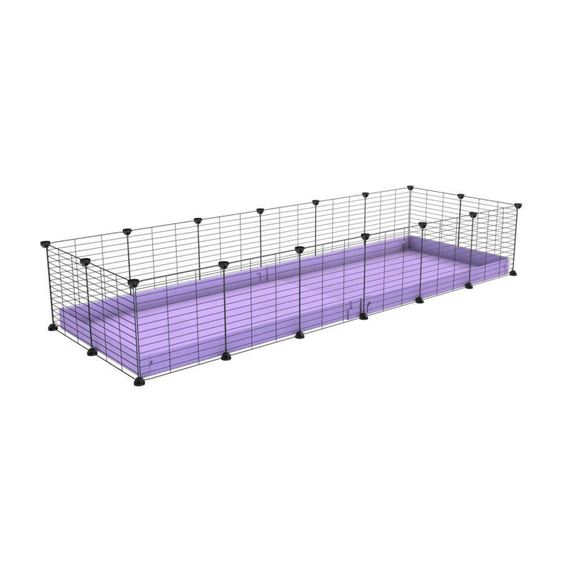 une cavy cage 6x2 pour cochons d'inde avec coroplast violet lilas et grilles fines avec petits trous de kavee