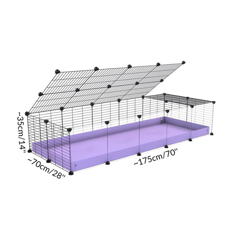 Taille d'une cavy cage 5x2 pour cochons d'inde avec panneaux transparents en plexiglass avec couvercle coroplast violet mauve pastel lilas et grilles avec barreaux etroits de kavee