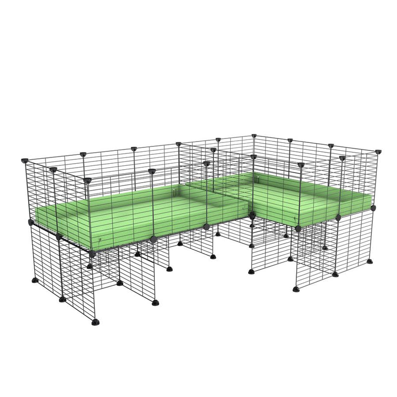 une cavy cage 6x2 en L avec stand avec separation pour cochons d'inde qui se battent ou en quarantaine avec coroplast vert kavee