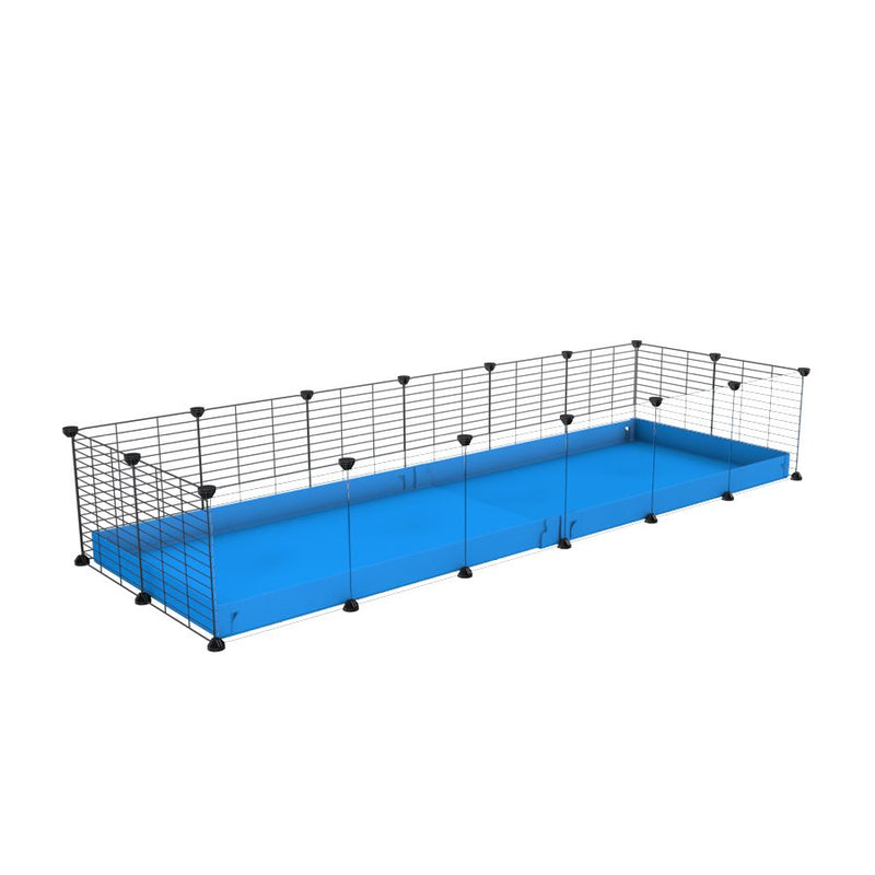 une cavy cage 6x2 pour cochons d'inde avec panneaux transparents en plexiglass avec coroplast bleu et grilles fines avec petits trous de kavee