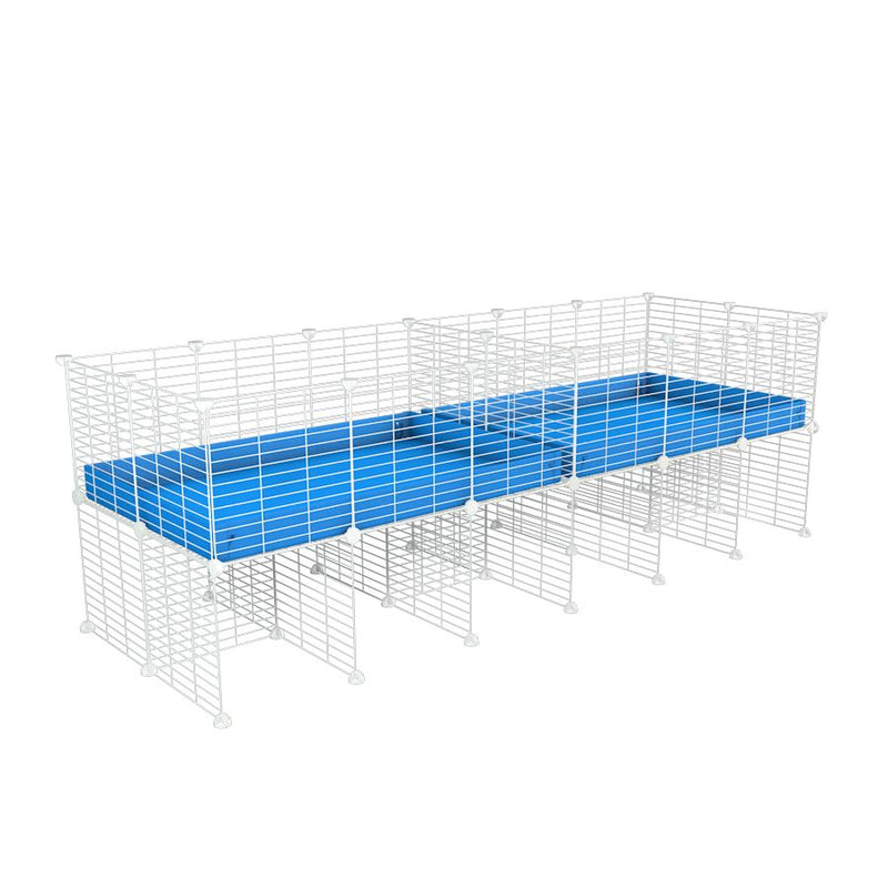 une cavy cage blanche 6x2 stand avec separation pour cochons d'inde qui se battent ou en quarantaine avec coroplast bleu kavee