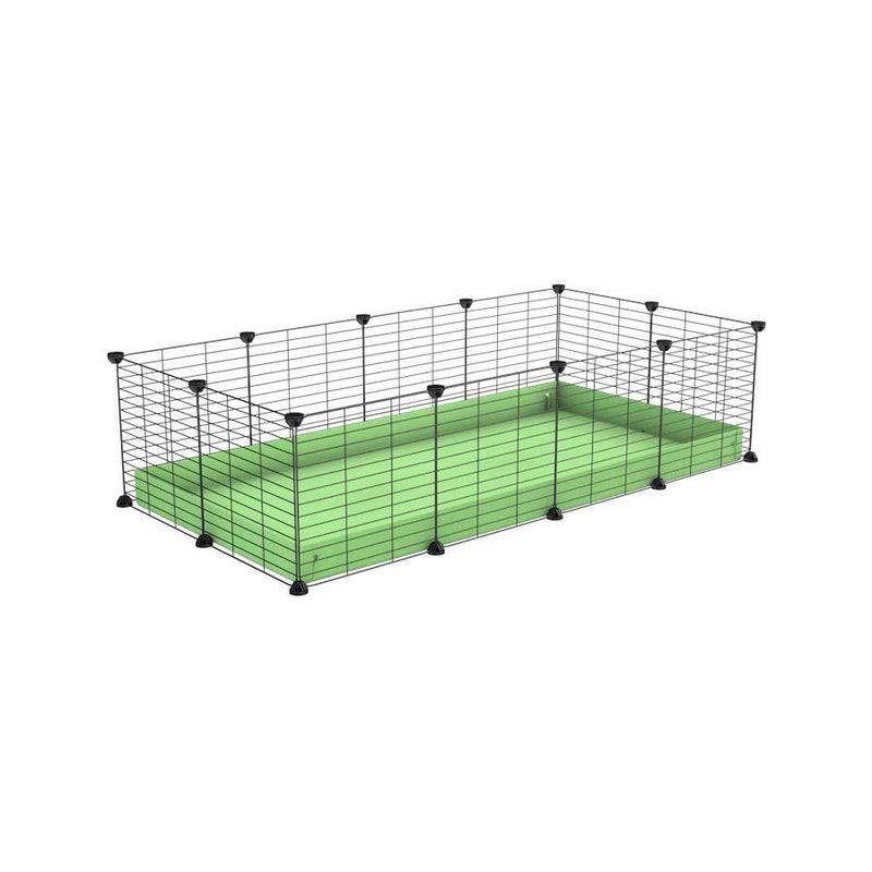 une cavy cage modulable 4x2 pour cochons d'inde avec coroplast vert pistache et grilles fines avec petits trous