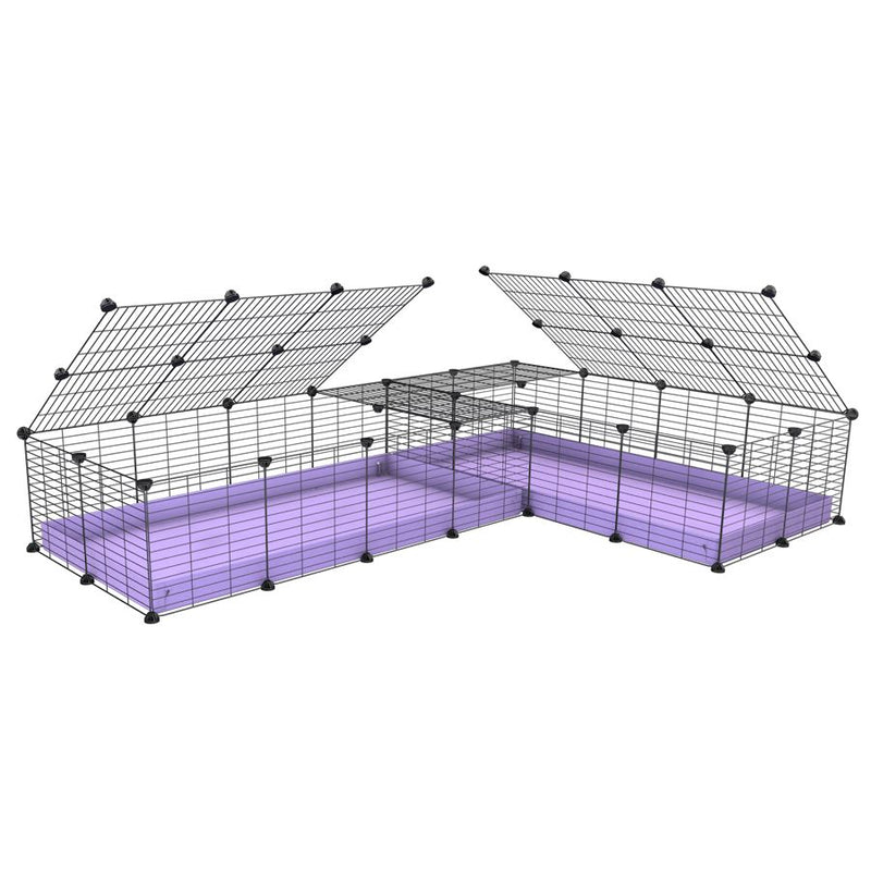 une cavy cage 8x2 en L avec couvercle et separation pour cochons d'inde qui se battent ou en quarantaine avec coroplast lilas violet kavee