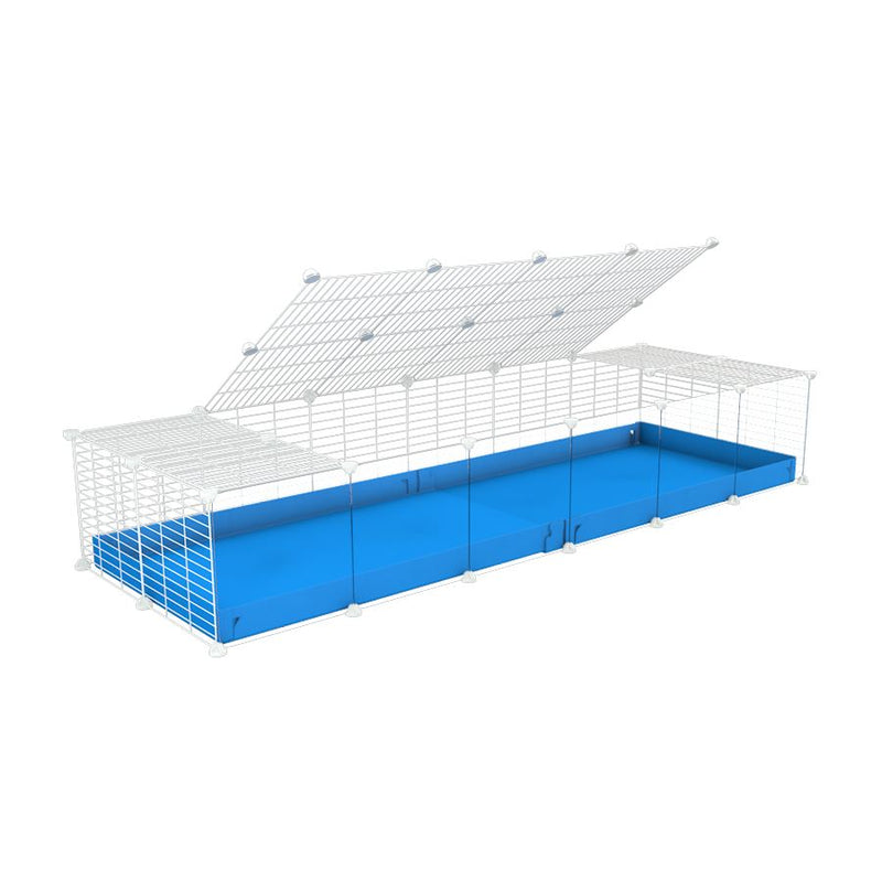 une cavy cage 6x2 avec panneaux transparents en plexiglass  pour cochons d'inde avec couvercle coroplast bleu et grilles blanches avec barreaux etroits de kavee