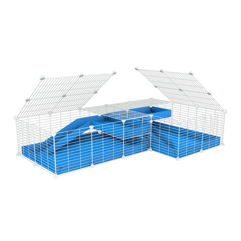 une cavy cage blanche 6x2 en L avec loft avec couvercle et separation pour cochons d'inde qui se battent ou en quarantaine avec coroplast bleu kavee