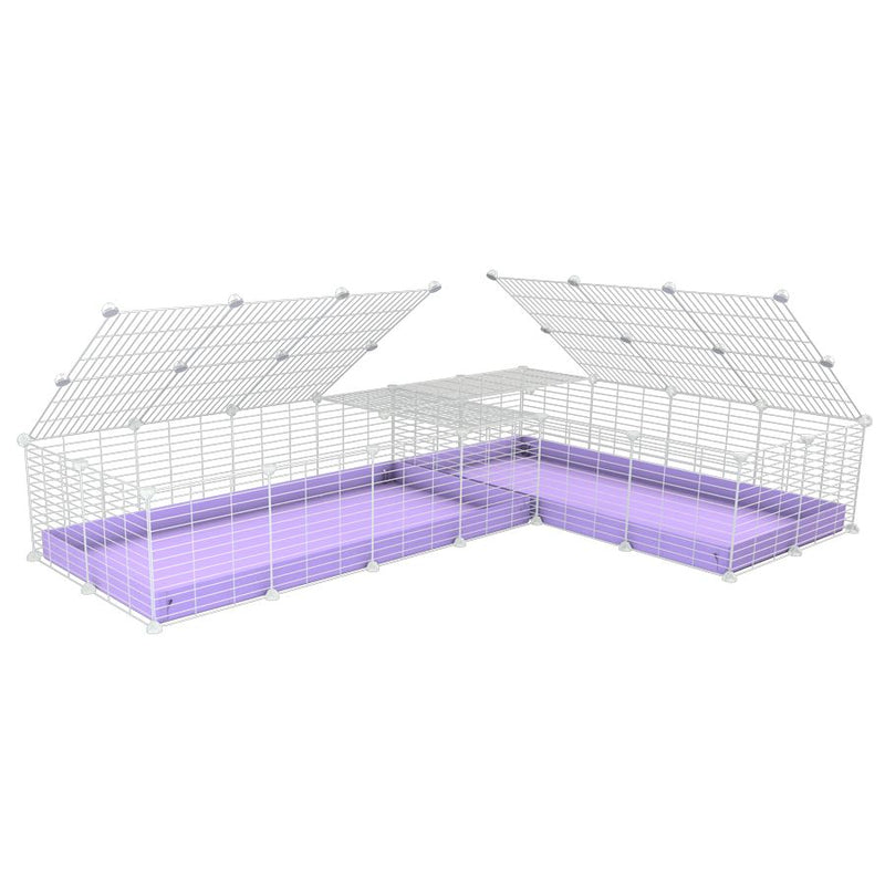 une cavy cage blanche 8x2 en L avec couvercle et separation pour cochons d'inde qui se battent ou en quarantaine avec coroplast lilas violet kavee
