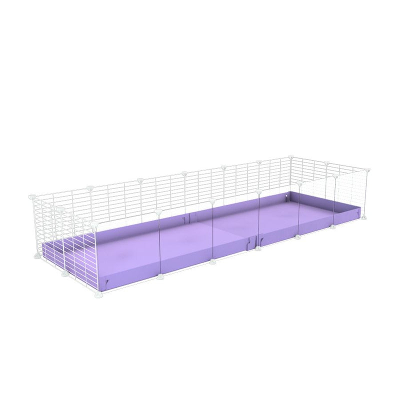une cavy cage 6x2 avec panneaux transparents en plexiglass  pour cochons d'inde avec coroplast violet lilas et grilles blanches fines avec petits trous de kavee