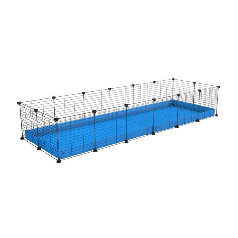 une cavy cage 6x2 pour cochons d'inde avec coroplast bleu et grilles fines avec petits trous de kavee