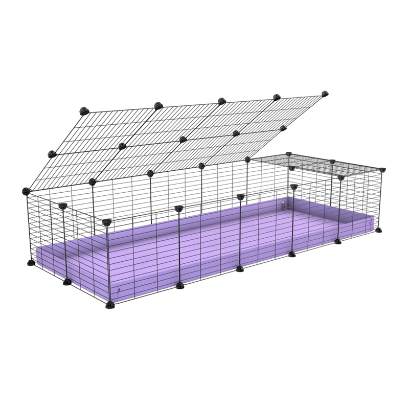 une cavy cage 5x2 pour cochons d'inde avec couvercle coroplast noir et grilles avec barreaux etroits de kavee