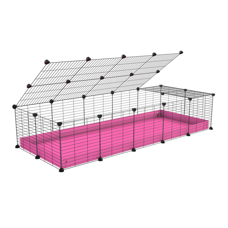 une cavy cage 5x2 pour cochons d'inde avec couvercle coroplast bleu et grilles avec barreaux etroits de kavee