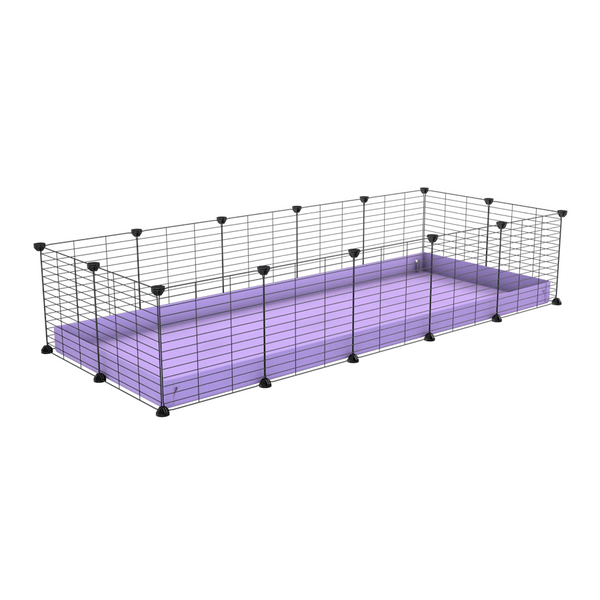 une cavy cage 5x2 pour cochons d'inde avec coroplast violet lilas et grilles fines avec petits trous de kavee