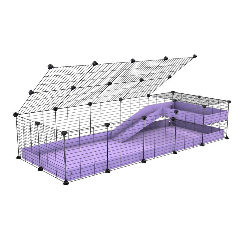 une cavy C&C cage 5x2 pour cochons d'inde avec une rampe un loft un couvercle un coroplast noir et grilles de kavee
