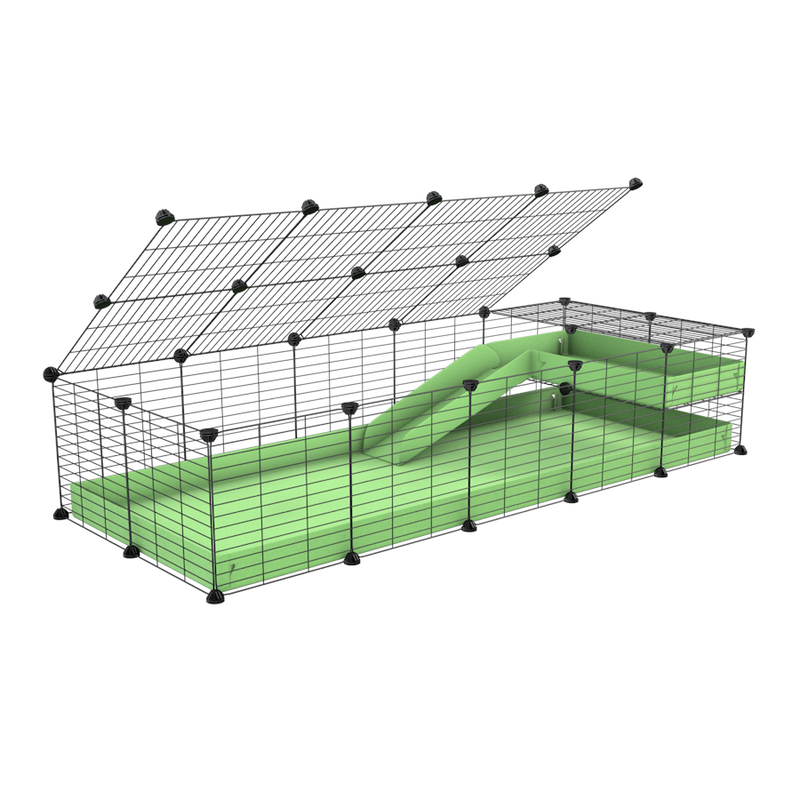 une cavy C&C cage 5x2 pour cochons d'inde avec une rampe un loft un couvercle un coroplast vert pistache et grilles de kavee