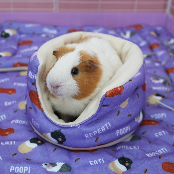 cochon d'inde confortablement installé dans un lit violet aux motifs caca de la marque Kavee dans une cage sur un tapis polaire