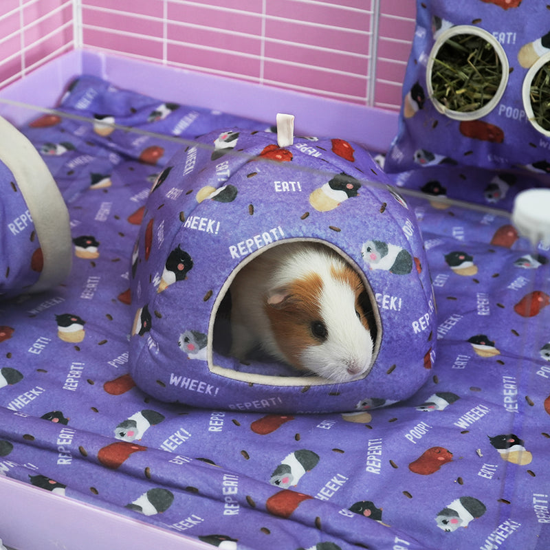 cochon d'inde au chaud dans une maison violette aux motifs caca de la marque Kavee dans une cage sur un tapis polaire