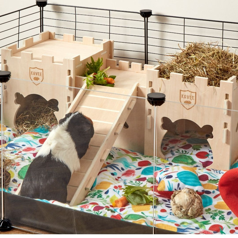 cochon d'inde tricolore utilisant la rampe d'accès au chateau fort pour cavy cage Kavee sur un tapis polaire Veggie