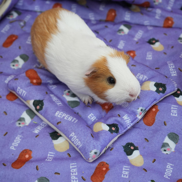 cochon d'inde sur un coussin pour pipi violet aux motifs caca de la marque Kavee dans une cage sur un tapis polaire