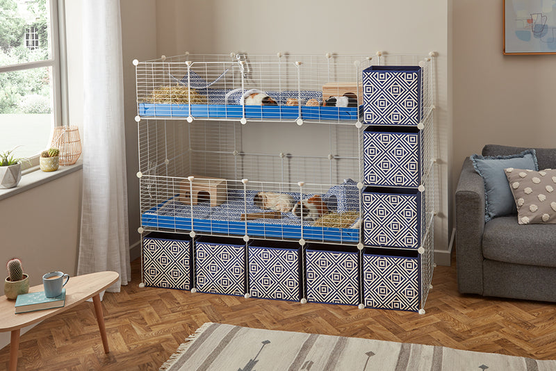 Une cavy cage double deux etages 4x2 pour cochons d'inde avec etageres et stand coroplast bleu Kavee