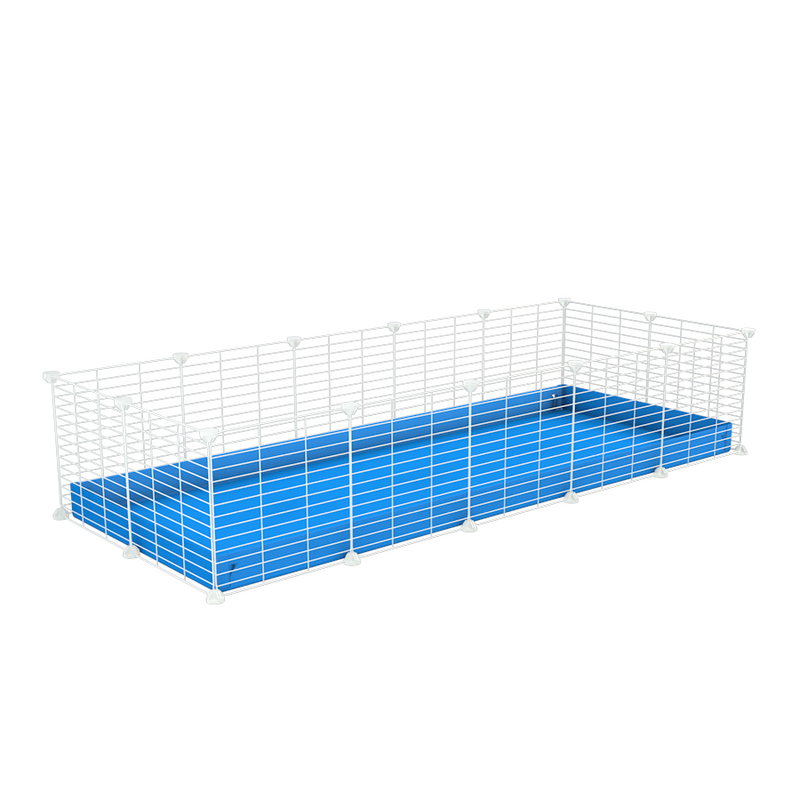 une cavy cage 5x2 pour cochons d'inde avec coroplast bleu et grilles blanches fines avec petits trous de kavee