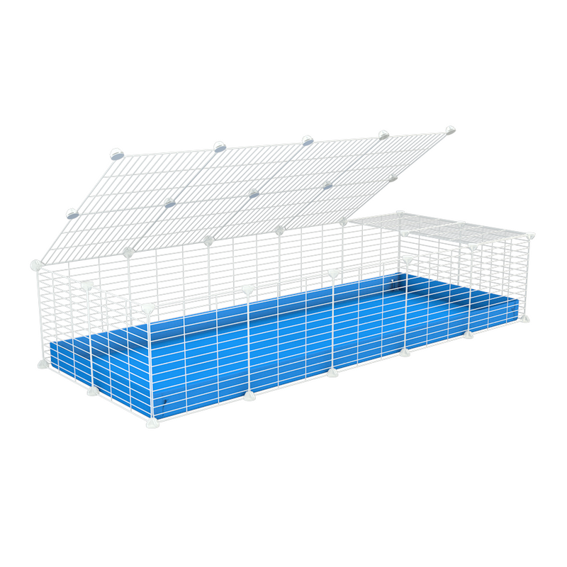 une cavy cage 5x2 pour cochons d'inde avec couvercle coroplast bleu et grilles blanches avec barreaux etroits de kavee