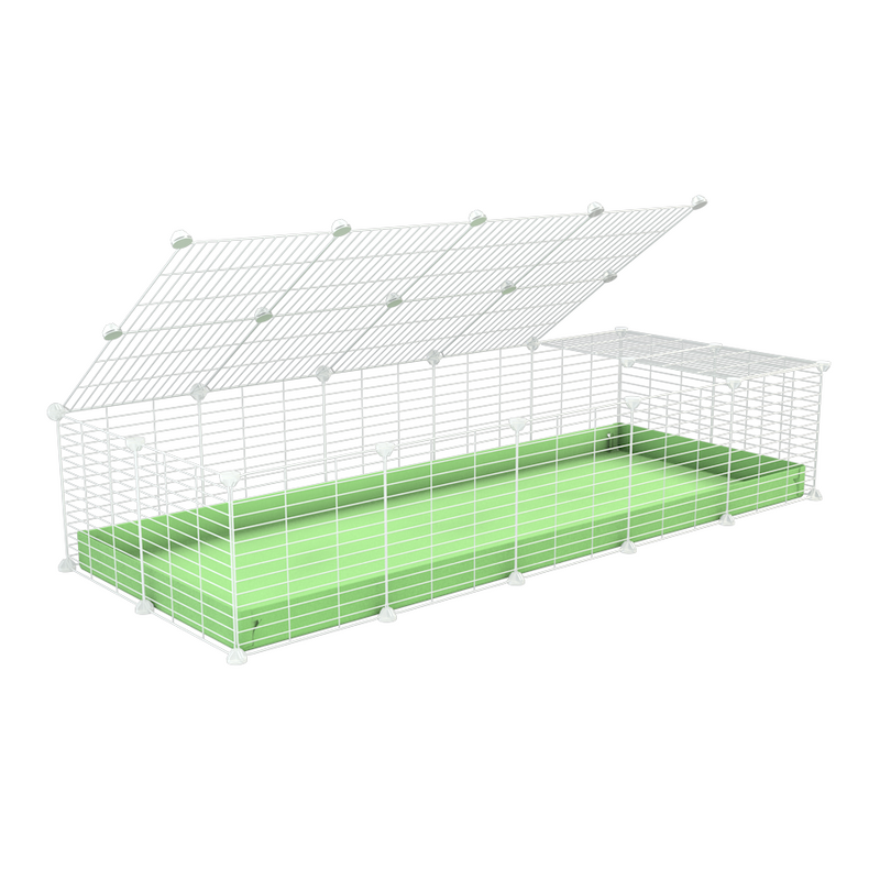 une kavee cage 5x2 pour cochons d'inde avec couvercle coroplast vert pistache et grilles blanches avec barreaux etroits