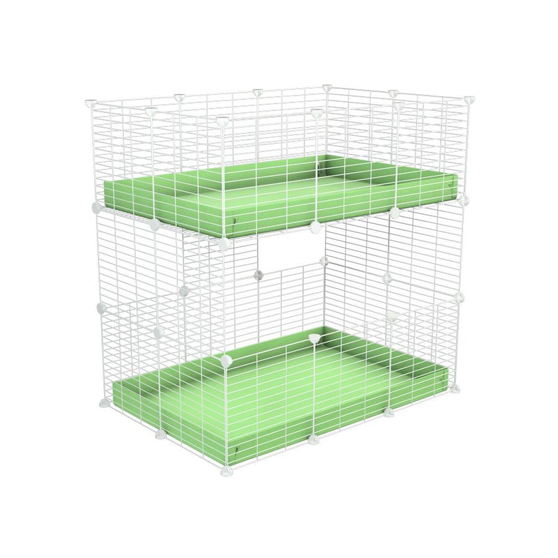 Une kavee cage double deux etages 3x2 pour cochons d'inde avec coroplast vert pistache et grilles blanches avec petits trous