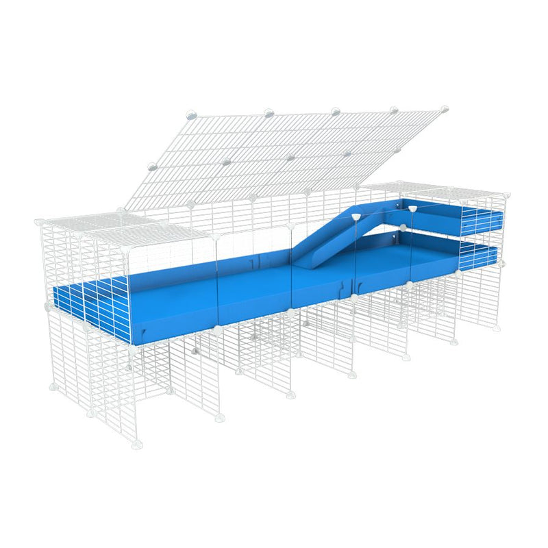 une kavee cage 6x2 avec panneaux transparents en plexiglass  pour cochons d'inde avec rehausseur couvercle loft rampe coroplast bleu et grilles blanches fines
