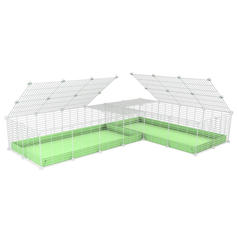 une cavy cage blanche 8x2 en L avec couvercle et separation pour cochons d'inde qui se battent ou en quarantaine avec coroplast vert kavee