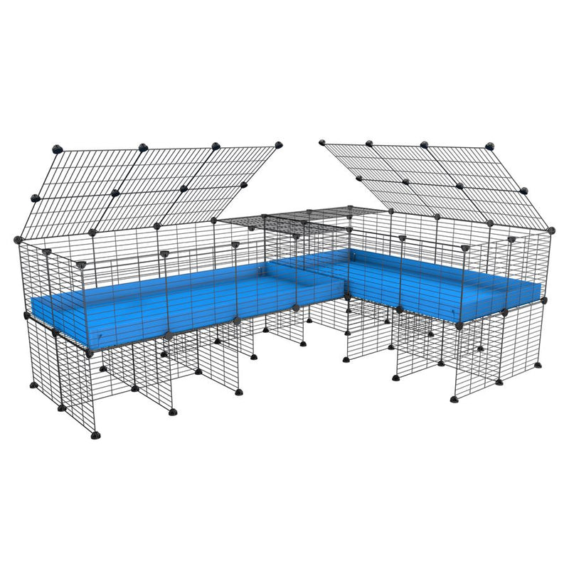 une cavy cage 8x2 en L avec stand avec couvercle et separation pour cochons d'inde qui se battent ou en quarantaine avec coroplast bleu kavee