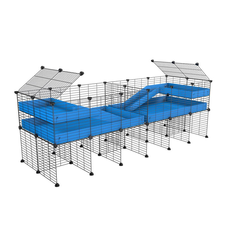 une cavy cage 6x2 stand loft avec separation pour cochons d'inde qui se battent ou en quarantaine avec coroplast bleu kavee