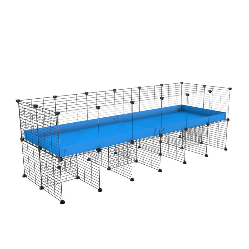 une cavy cage C&C 6x2 avec panneaux transparents en plexiglass pour cobayes cochons d'inde avec rehausseur correx bleu et grilles fines de kavee france