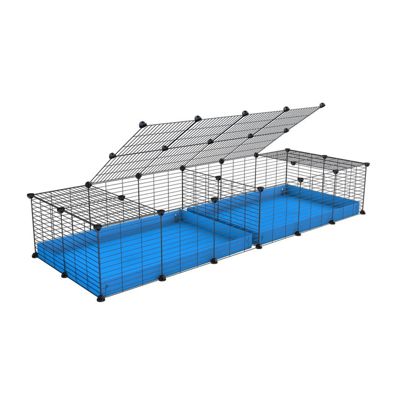 une cavy cage 6x2 avec couvercle et separation pour cochons d'inde qui se battent ou en quarantaine avec coroplast bleu kavee