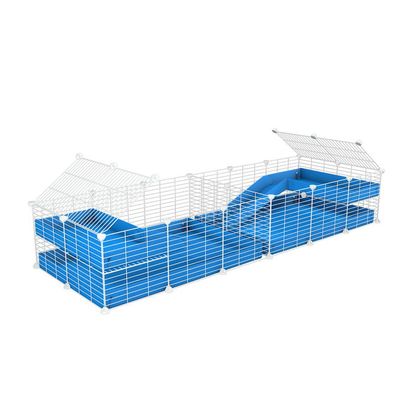 une cavy cage blanche 6x2 loft avec separation pour cochons d'inde qui se battent ou en quarantaine avec coroplast bleu kavee