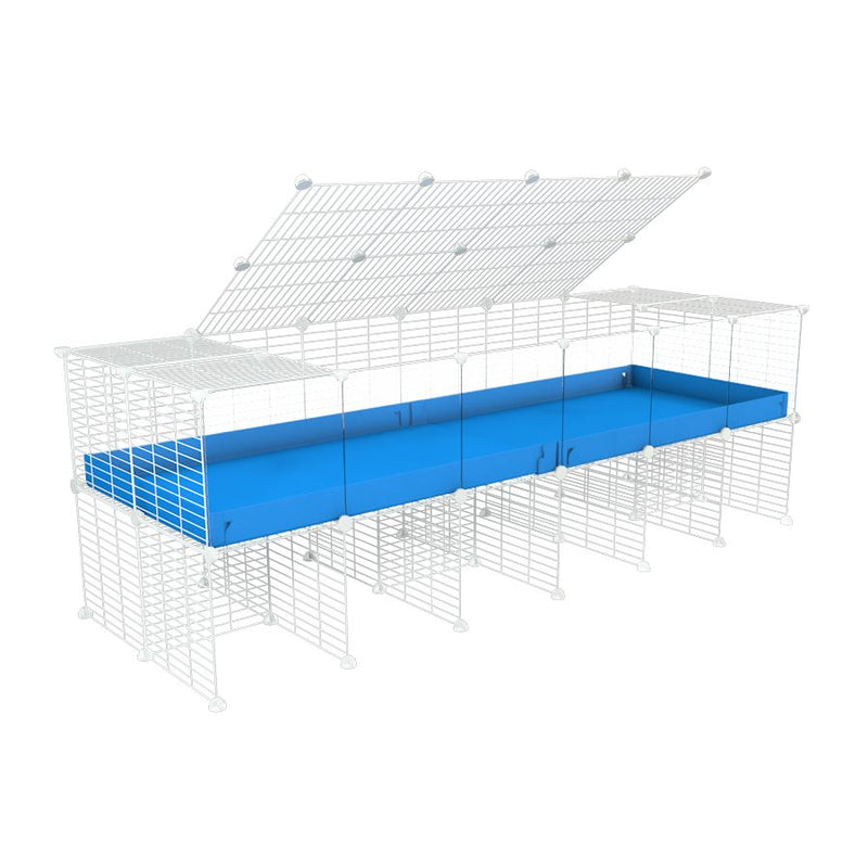 une cavy cage 6x2 avec panneaux transparents en plexiglass  pour cochons d'inde avec rehausseur couvercle correx bleu et grilles blanches fines de kavee france