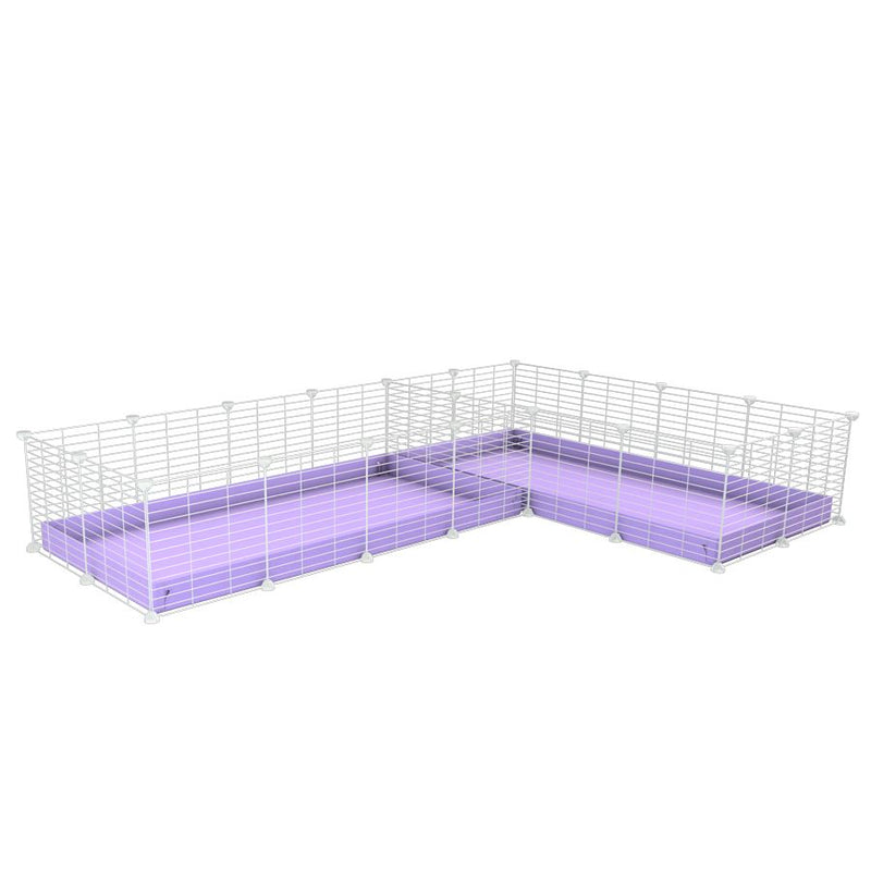 une cavy cage blanche 8x2 en L avec separation pour cochons d'inde qui se battent ou en quarantaine avec coroplast lilas violet kavee