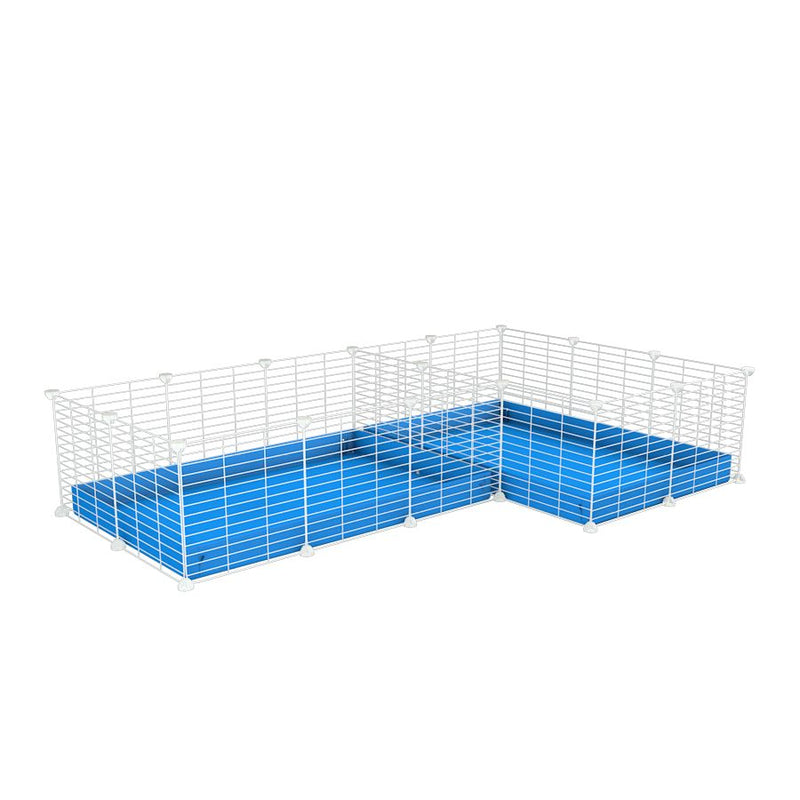 une cavy cage blanche 6x2 en L avec separation pour cochons d'inde qui se battent ou en quarantaine avec coroplast bleu kavee