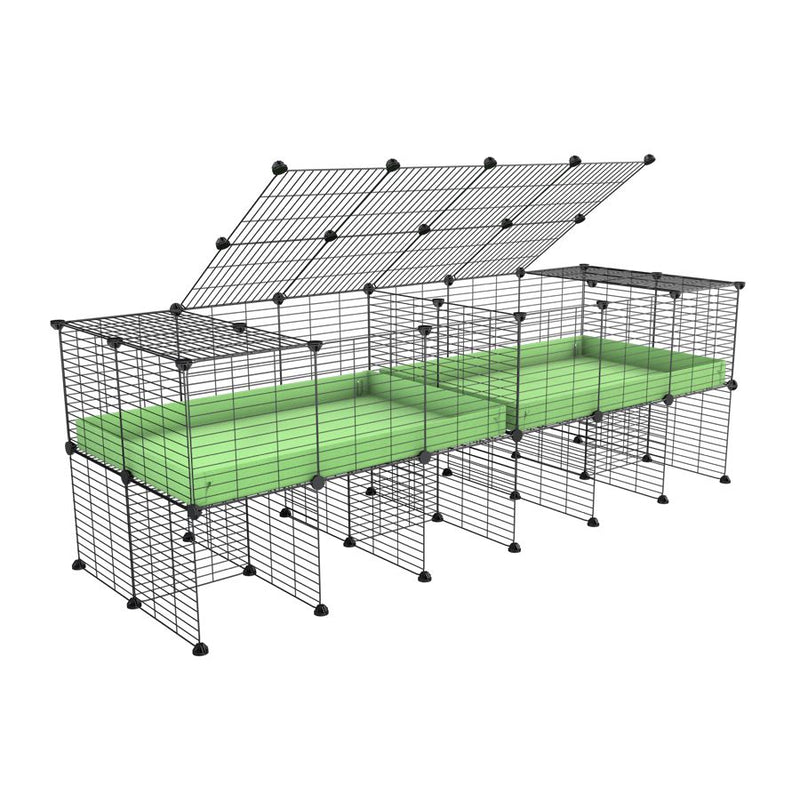 une cavy cage 6x2 stand avec couvercle et separation pour cochons d'inde qui se battent ou en quarantaine avec coroplast vert kavee
